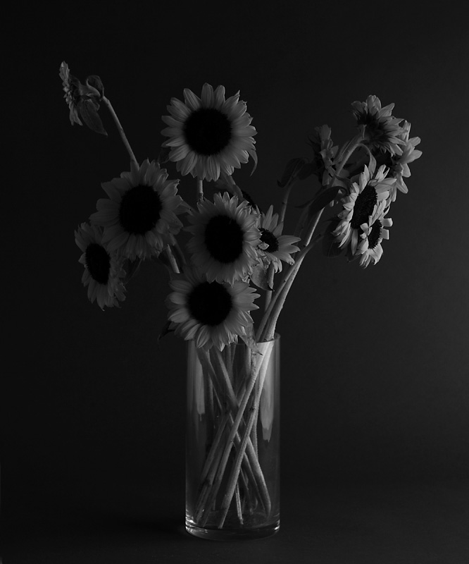 flowers01.jpg